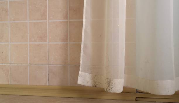 Best Dehumidification Services  in Baldwin, NY