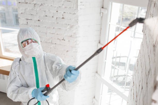 Best Water Damage & Mold Remediation  in Baldwin, NY