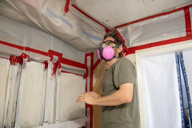 Best Post-Construction Mold Inspection  in Baldwin, NY