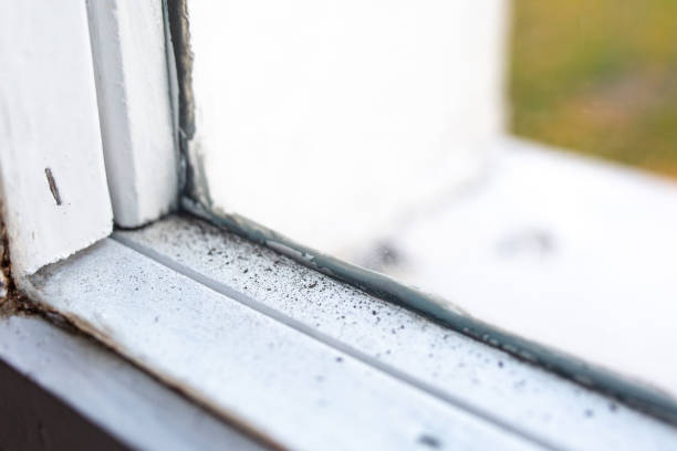 Best Mold Remediation for Healthcare Facilities  in Baldwin, NY