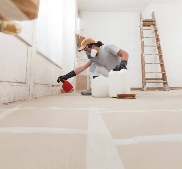 Best Air Quality Testing for Mold Spores  in Baldwin, NY